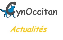 educateur canin comportementaliste montpellier gard herault ActualitÃ©s
