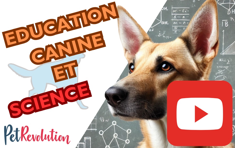 {article.getTitle()}} educateur canin montpellier