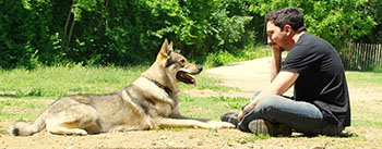 educateur canin comportementaliste montpellier gard herault-presentation