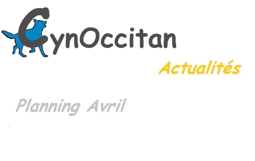 educateur canin comportementaliste montpellier gard herault Planning d'Avril 2026